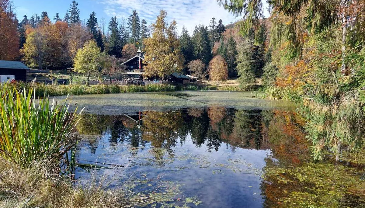 Herbstwanderung im Nationalpark Bayerischer Wald | © Killesreiter Marlene