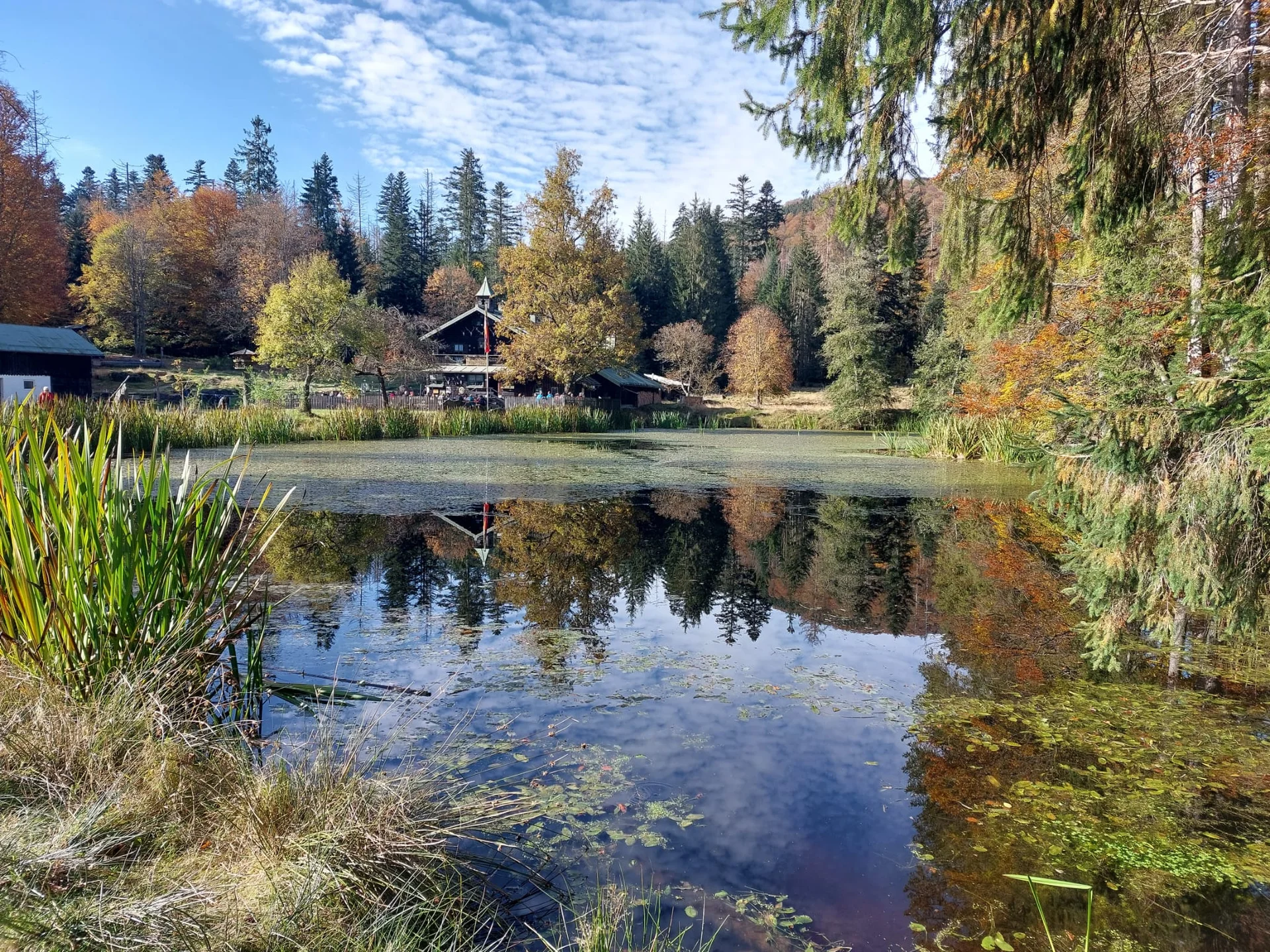 Herbstwanderung im Nationalpark Bayerischer Wald | © Killesreiter Marlene