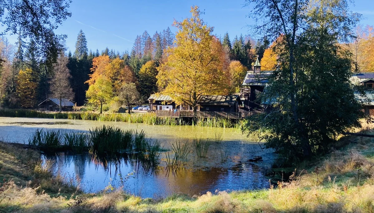 Herbstwanderung im Nationalpark Bayerischer Wald | © Killesreiter Marlene