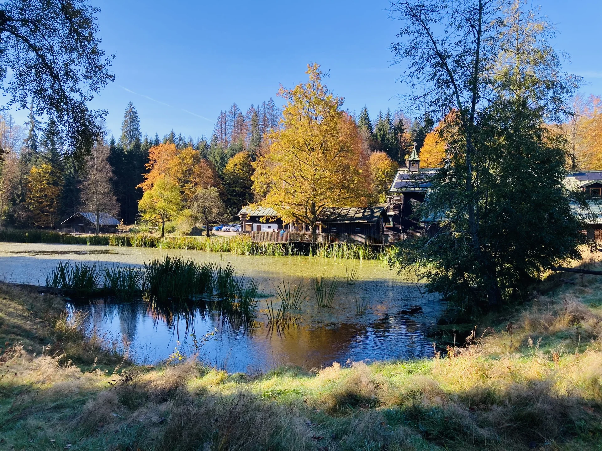 Herbstwanderung im Nationalpark Bayerischer Wald | © Killesreiter Marlene