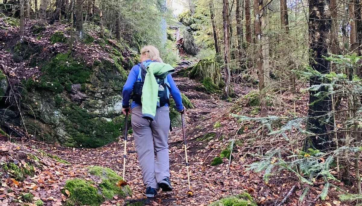 Herbstwanderung im Nationalpark Bayerischer Wald | © Killesreiter Marlene