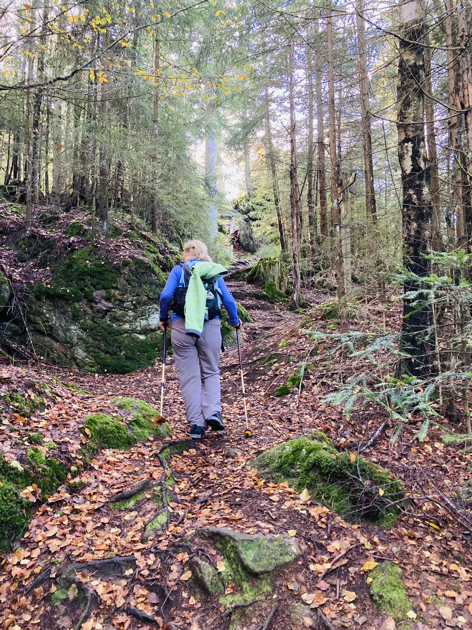 Herbstwanderung im Nationalpark Bayerischer Wald | © Killesreiter Marlene
