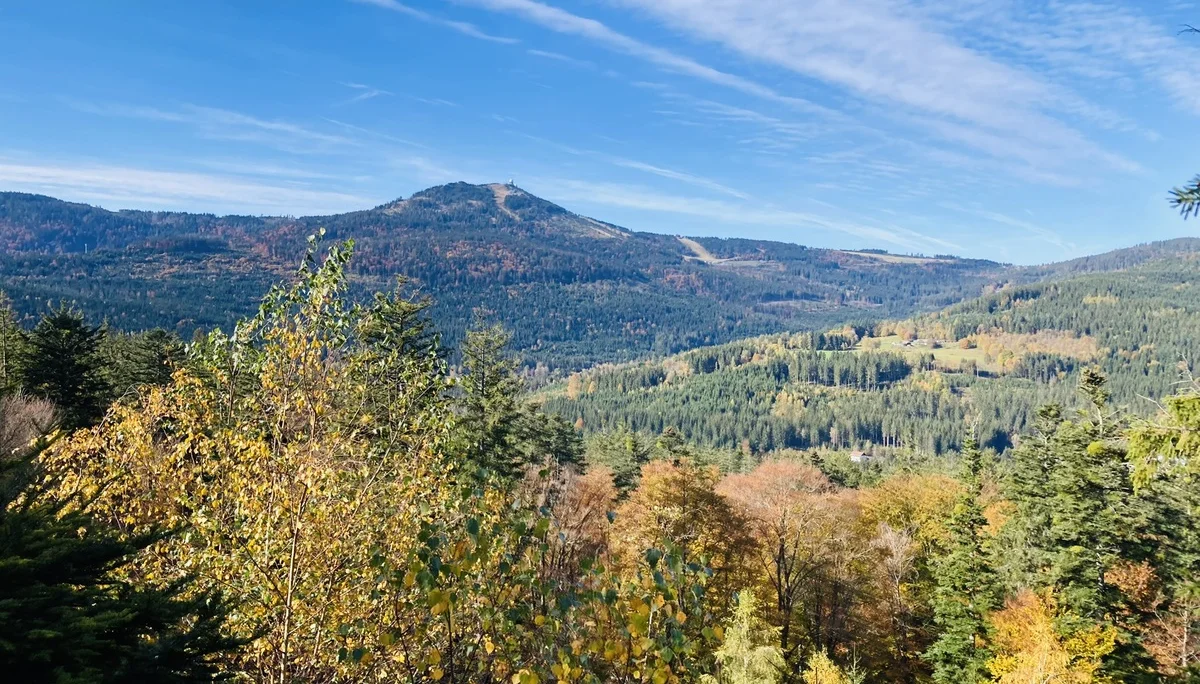 Herbstwanderung im Nationalpark Bayerischer Wald | © Killesreiter Marlene