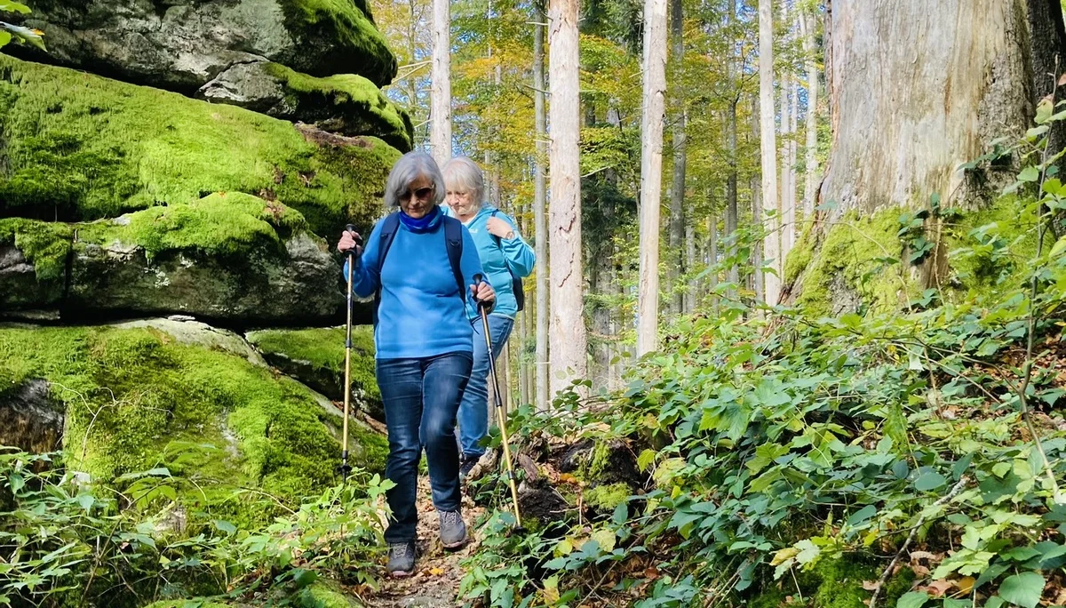 Herbstwanderung im Nationalpark Bayerischer Wald | © Killesreiter Marlene
