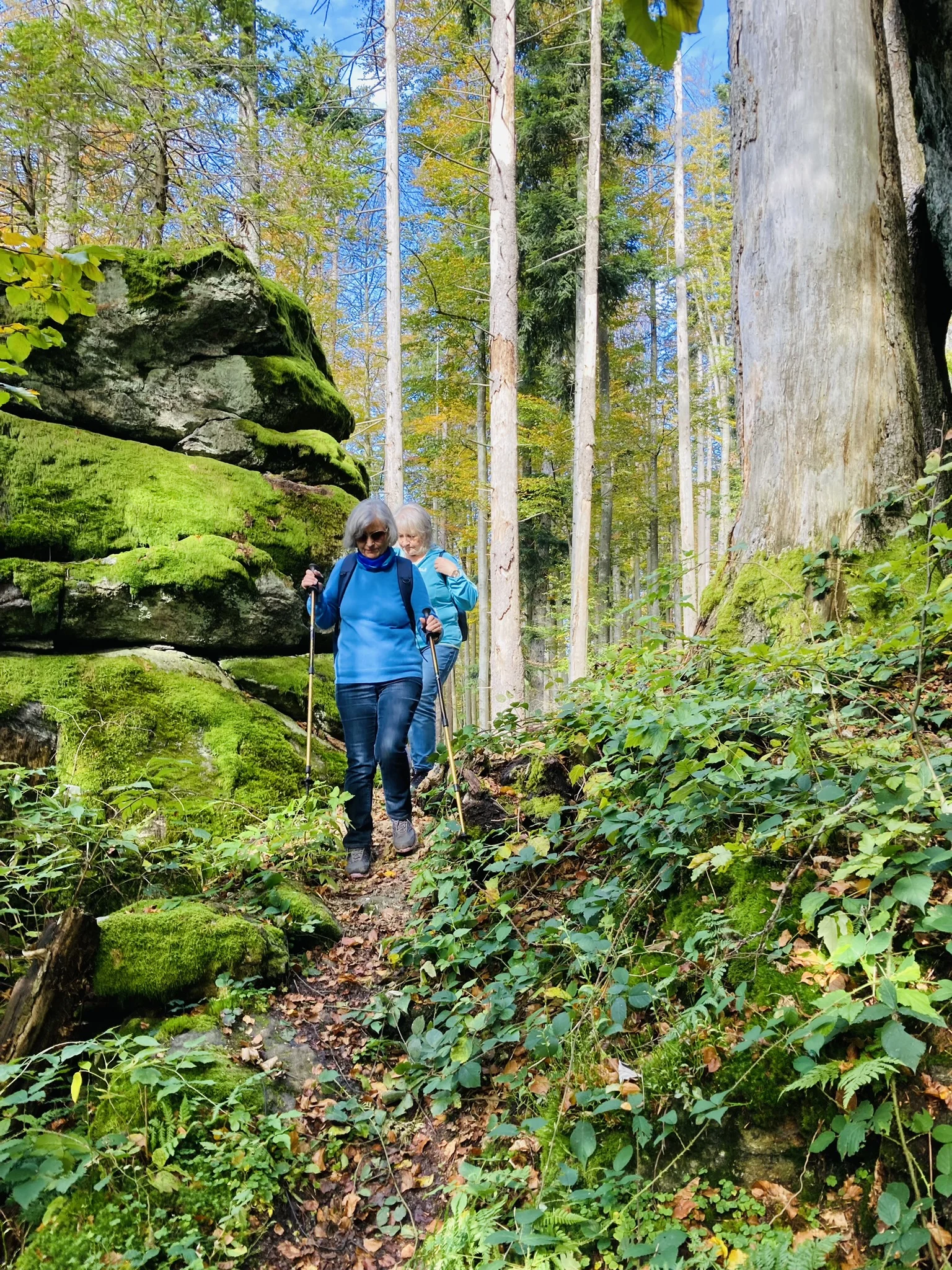 Herbstwanderung im Nationalpark Bayerischer Wald | © Killesreiter Marlene