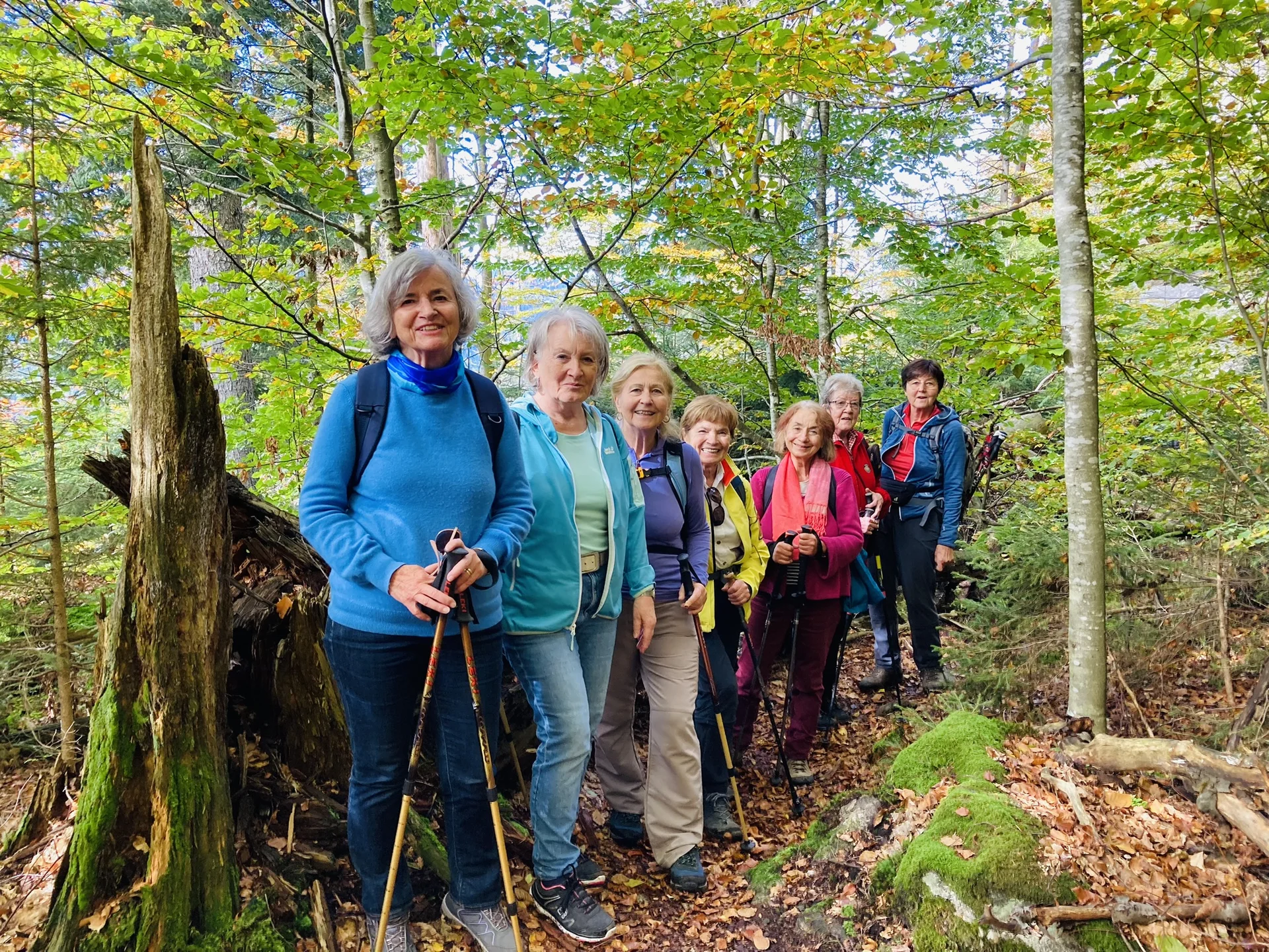 Herbstwanderung im Nationalpark Bayerischer Wald | © Killesreiter Marlene