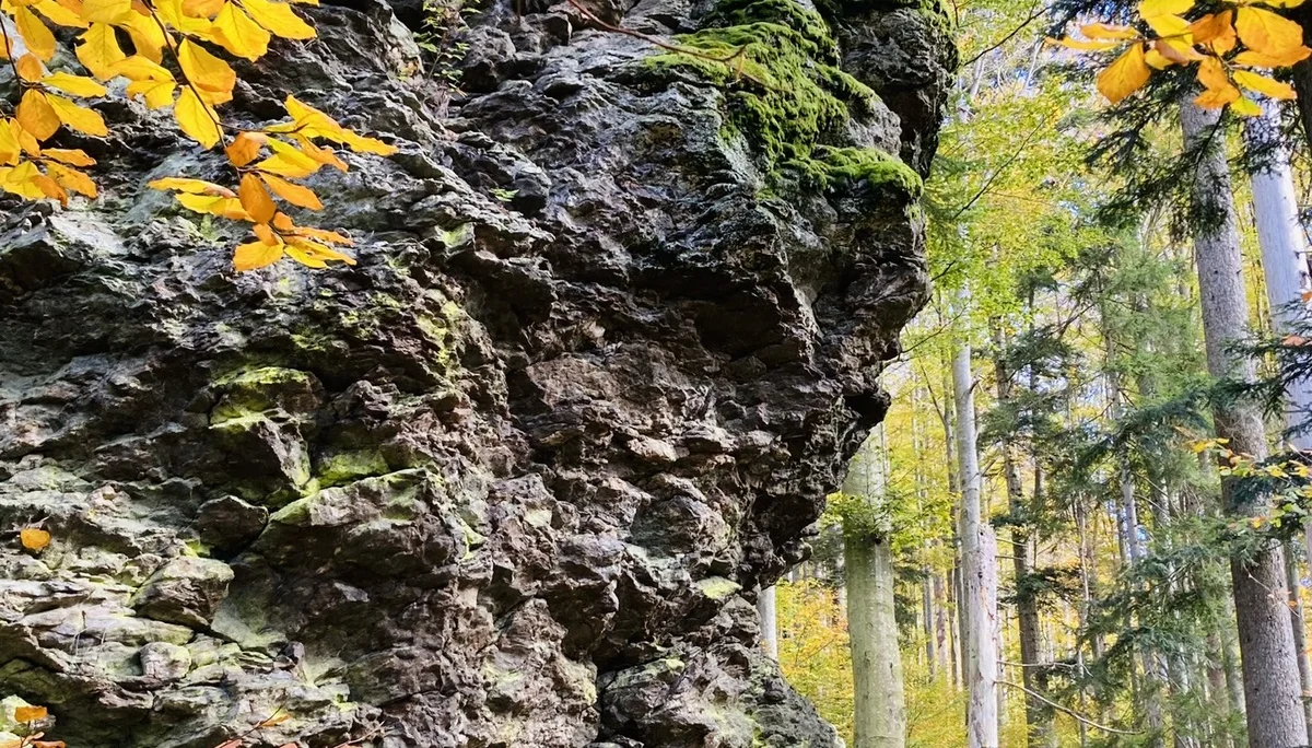 Herbstwanderung im Nationalpark Bayerischer Wald | © Killesreiter Marlene
