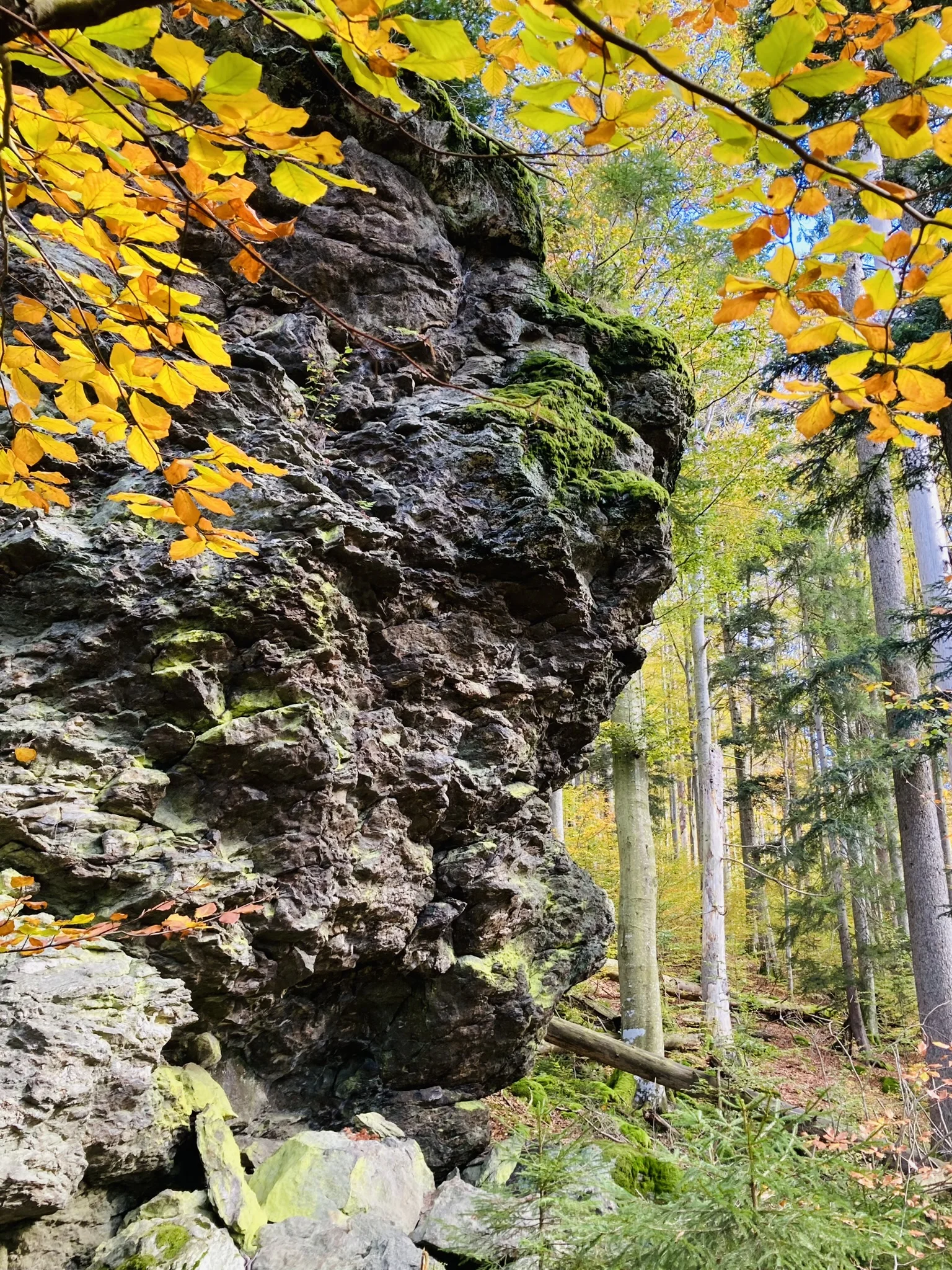 Herbstwanderung im Nationalpark Bayerischer Wald | © Killesreiter Marlene