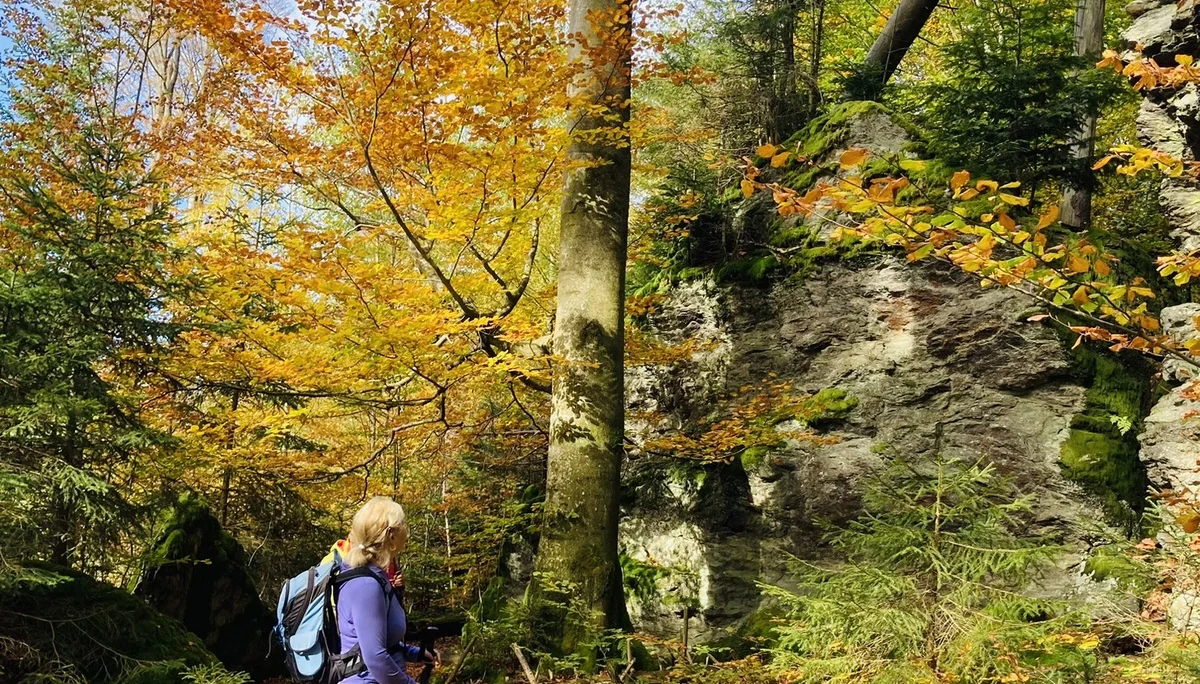 Herbstwanderung im Nationalpark Bayerischer Wald | © Killesreiter Marlene