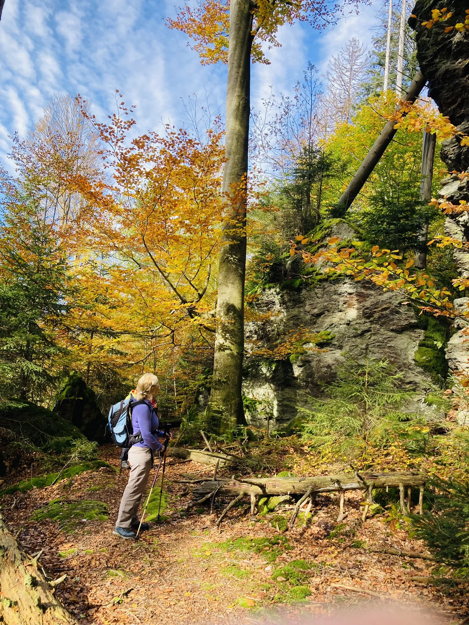Herbstwanderung im Nationalpark Bayerischer Wald | © Killesreiter Marlene