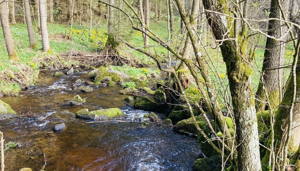 Frühjahrswanderung zum Teufelstisch | © Killesreiter Marlene