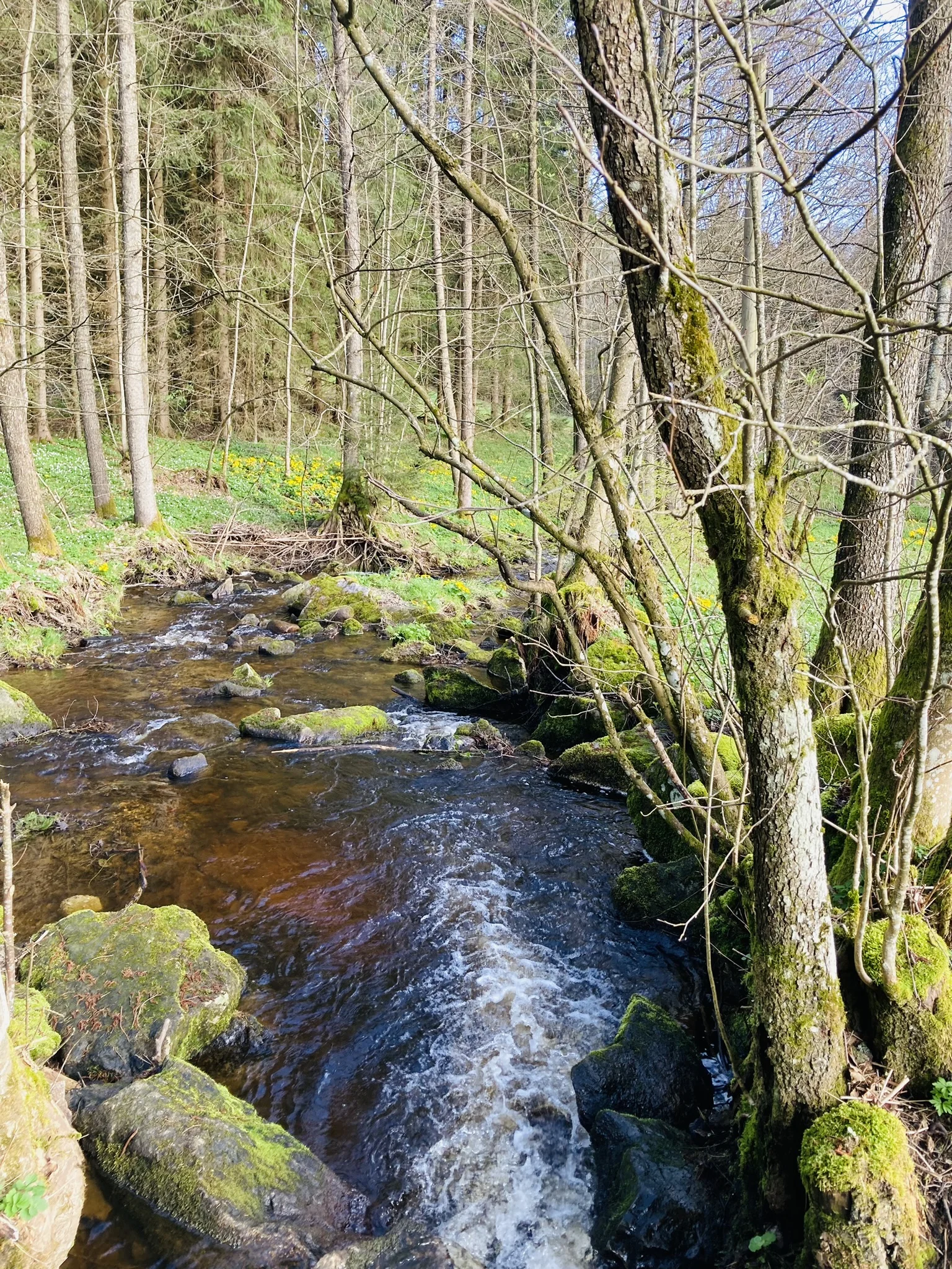 Frühjahrswanderung zum Teufelstisch | © Killesreiter Marlene