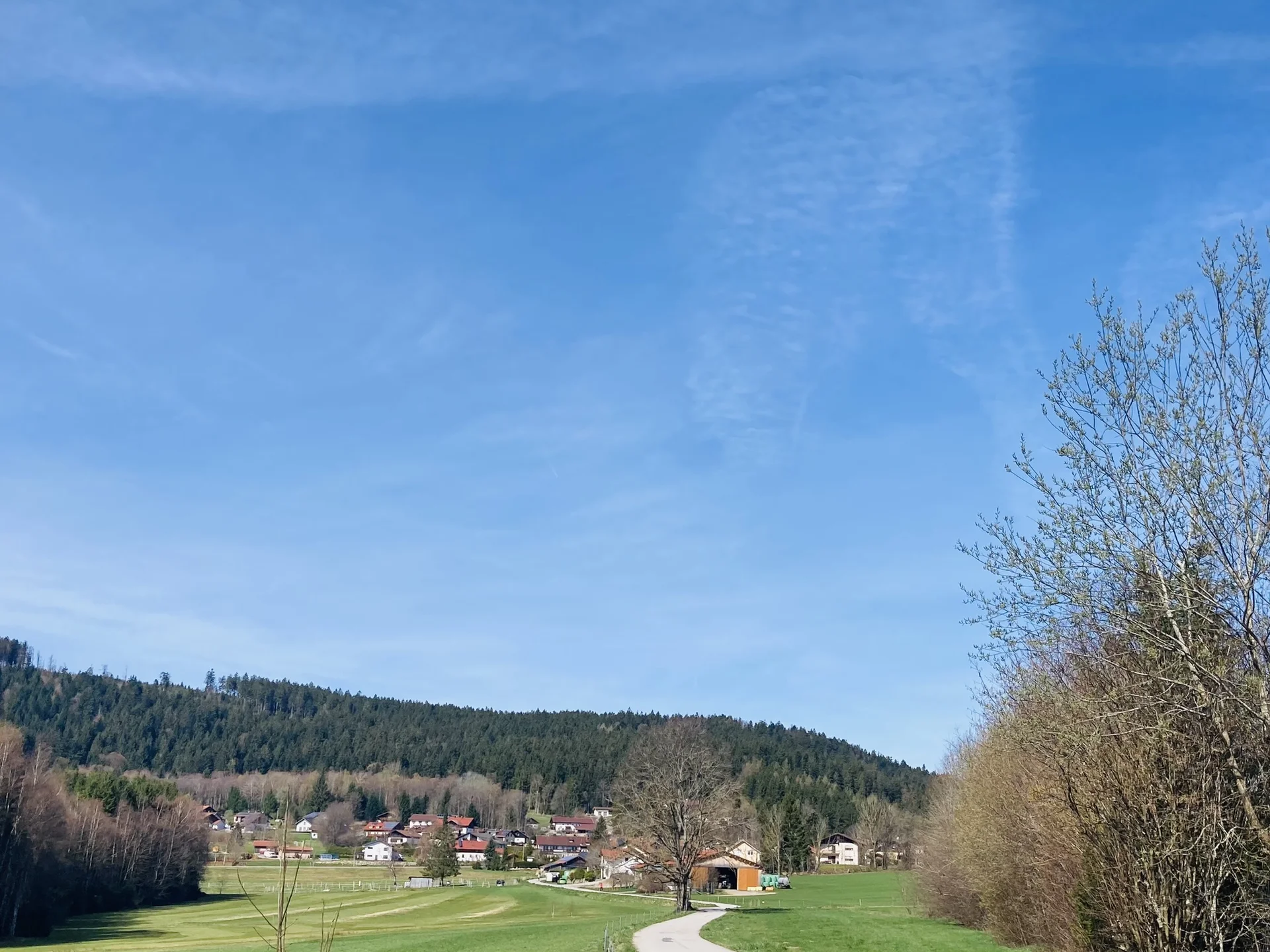 Frühjahrswanderung zum Teufelstisch | © Killesreiter Marlene