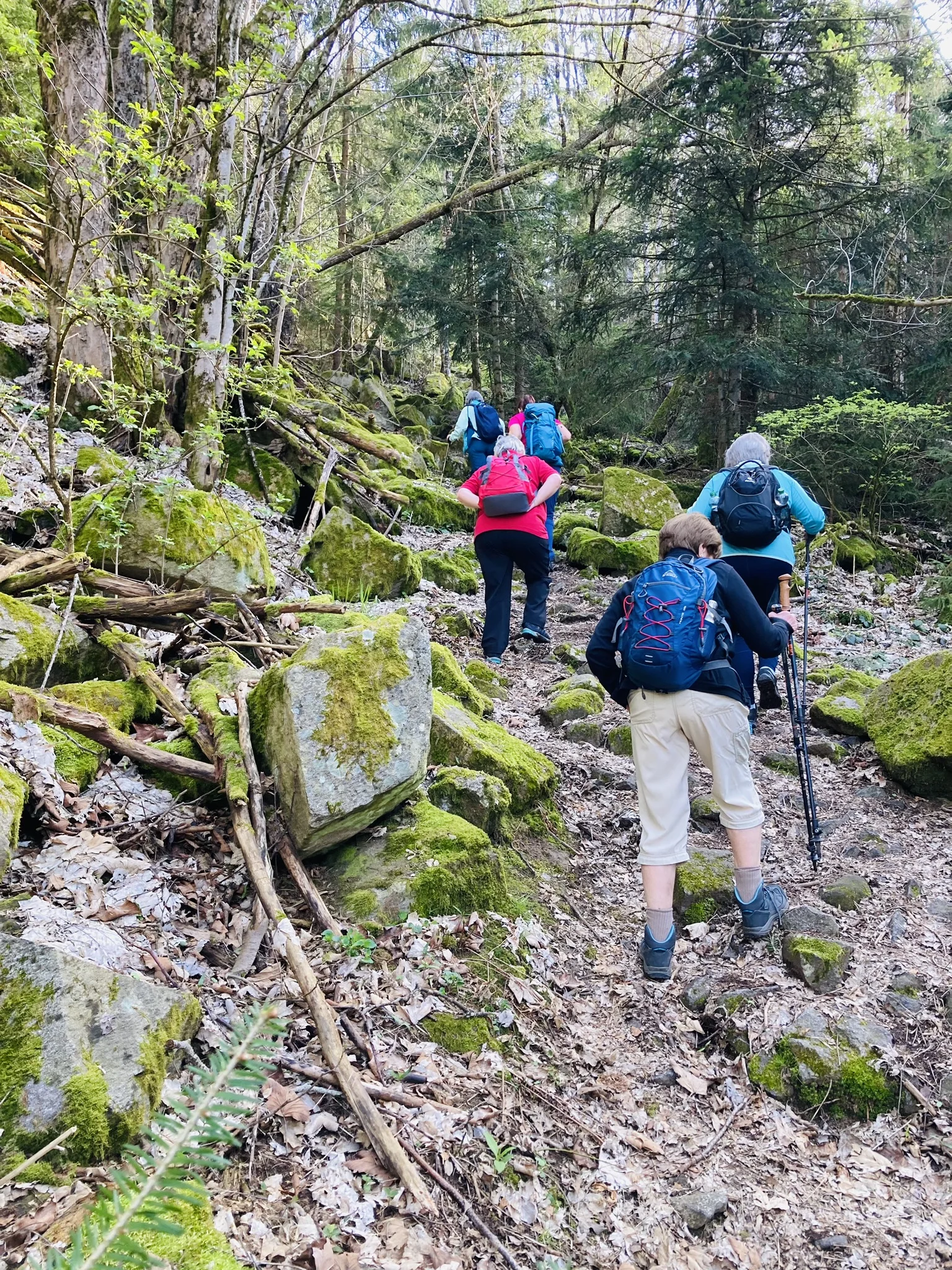 Frühjahrswanderung zum Teufelstisch | © Killesreiter Marlene