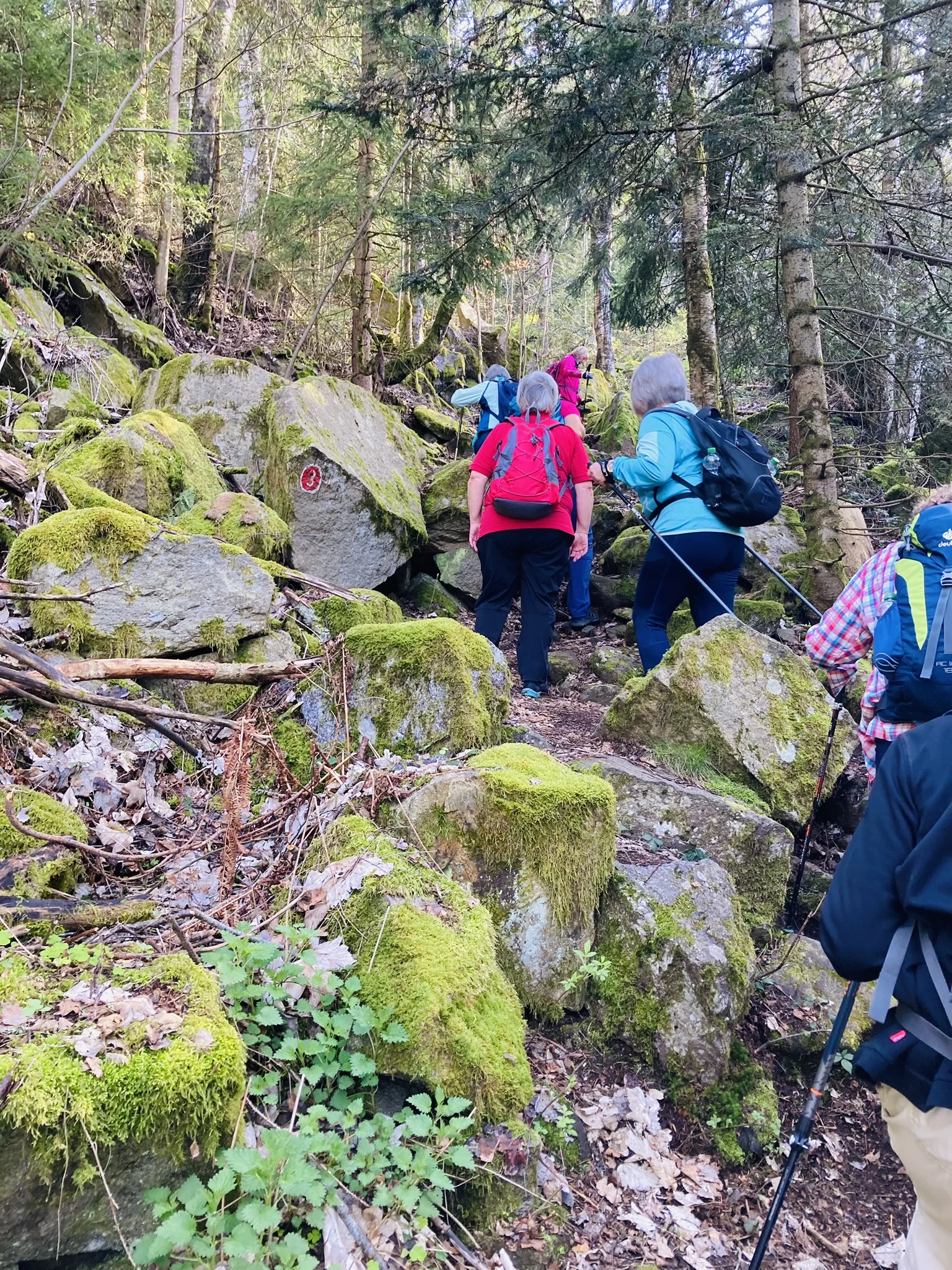 Frühjahrswanderung zum Teufelstisch | © Killesreiter Marlene