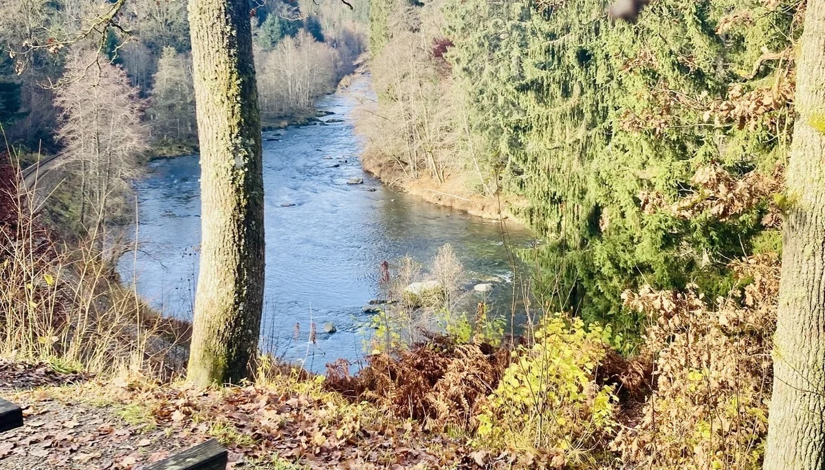 DAV wandert in Bayerisch Kanada | © Killesreiter Marlene