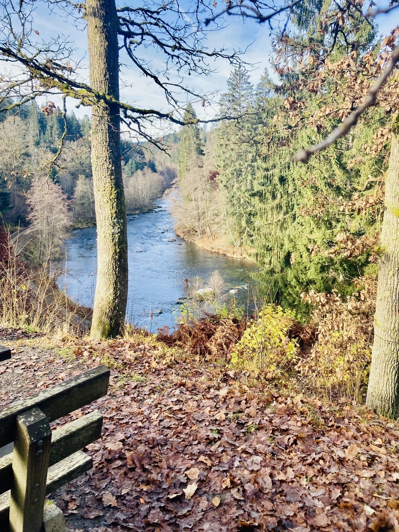 DAV wandert in Bayerisch Kanada | © Killesreiter Marlene
