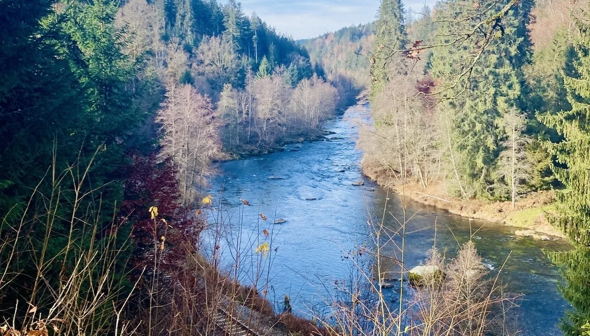 DAV wandert in Bayerisch Kanada | © Killesreiter Marlene