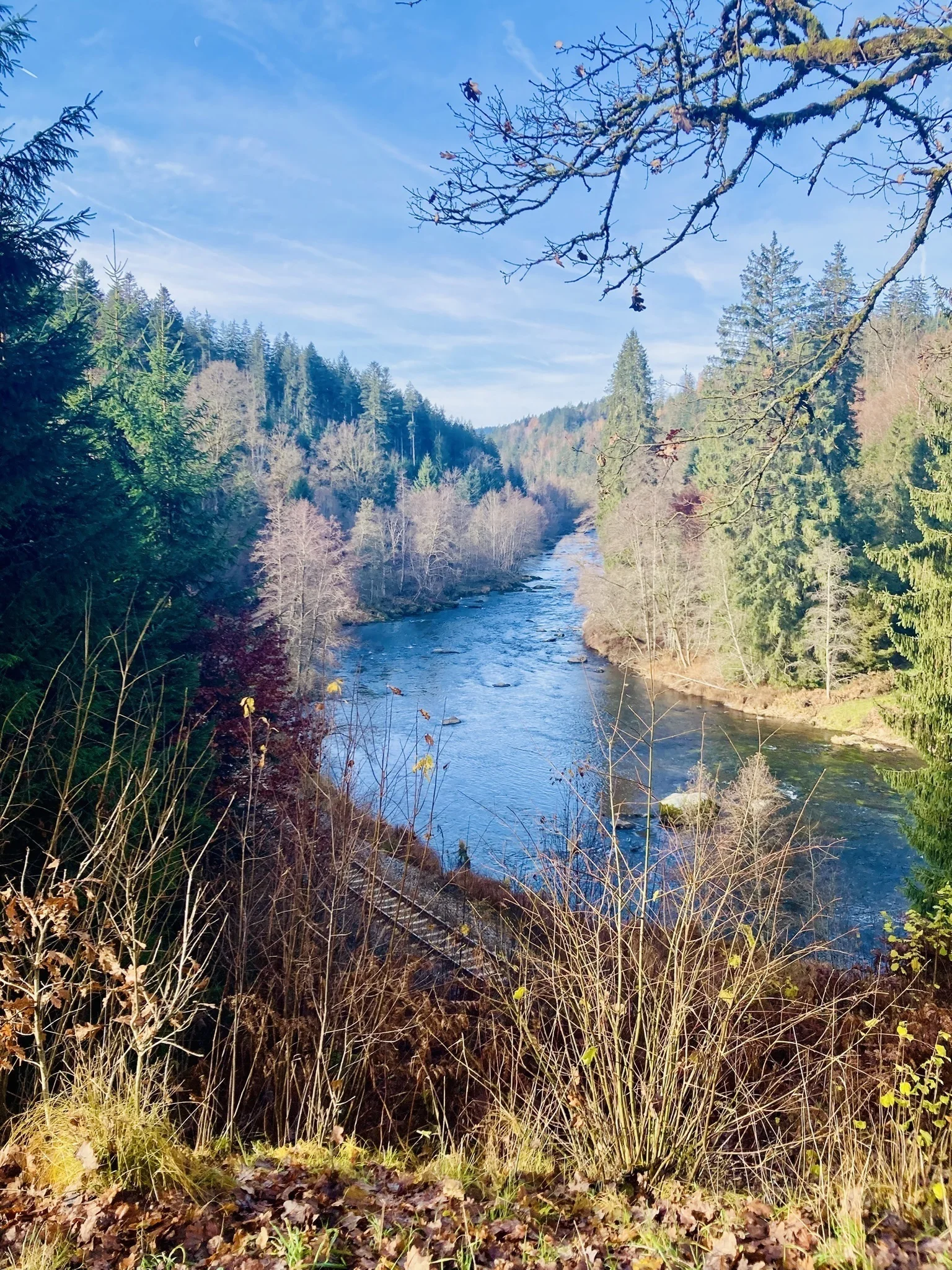 DAV wandert in Bayerisch Kanada | © Killesreiter Marlene