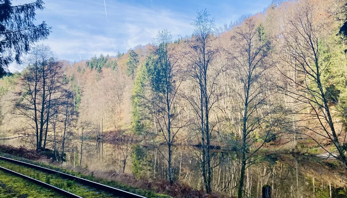 DAV wandert in Bayerisch Kanada | © Killesreiter Marlene