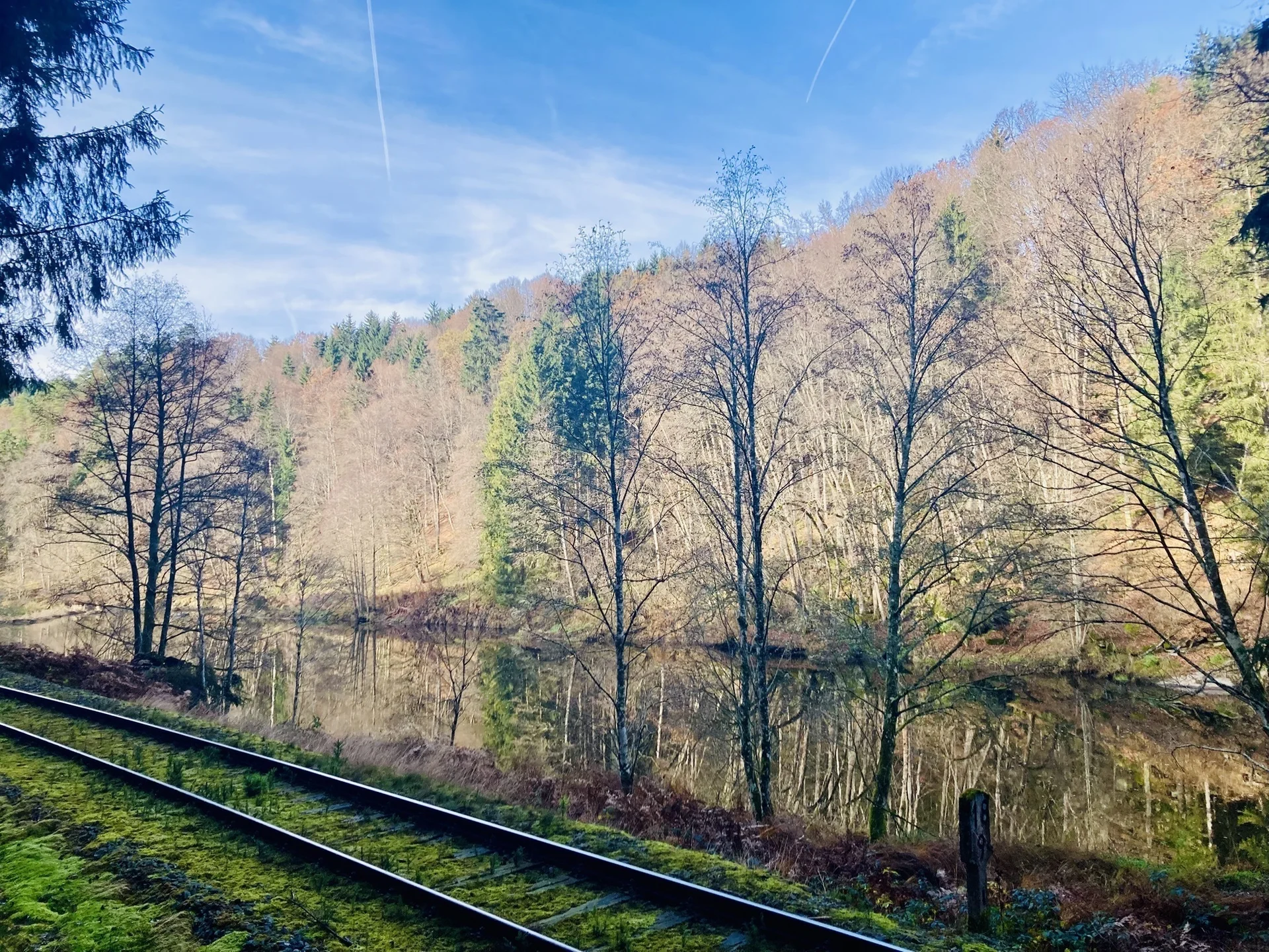 DAV wandert in Bayerisch Kanada | © Killesreiter Marlene