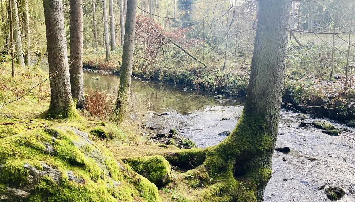 DAV wandert in Bayerisch Kanada | © Killesreiter Marlene