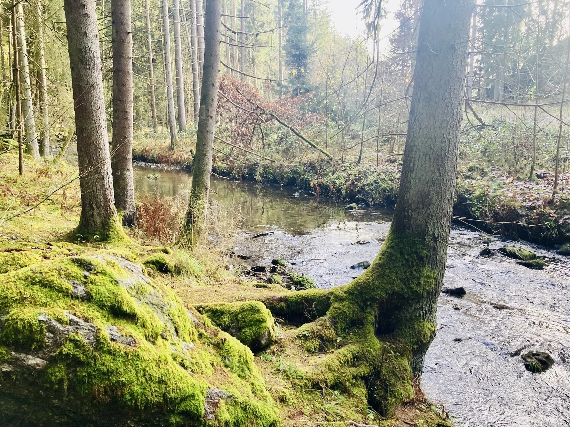 DAV wandert in Bayerisch Kanada | © Killesreiter Marlene