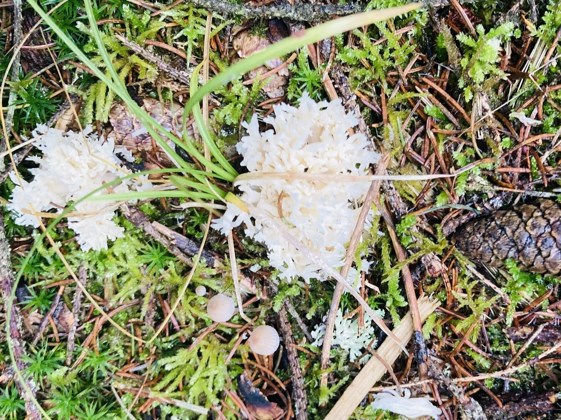 DAV wandert in Bayerisch Kanada | © Killesreiter Marlene