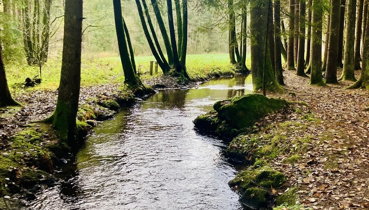 DAV wandert in Bayerisch Kanada | © Killesreiter Marlene