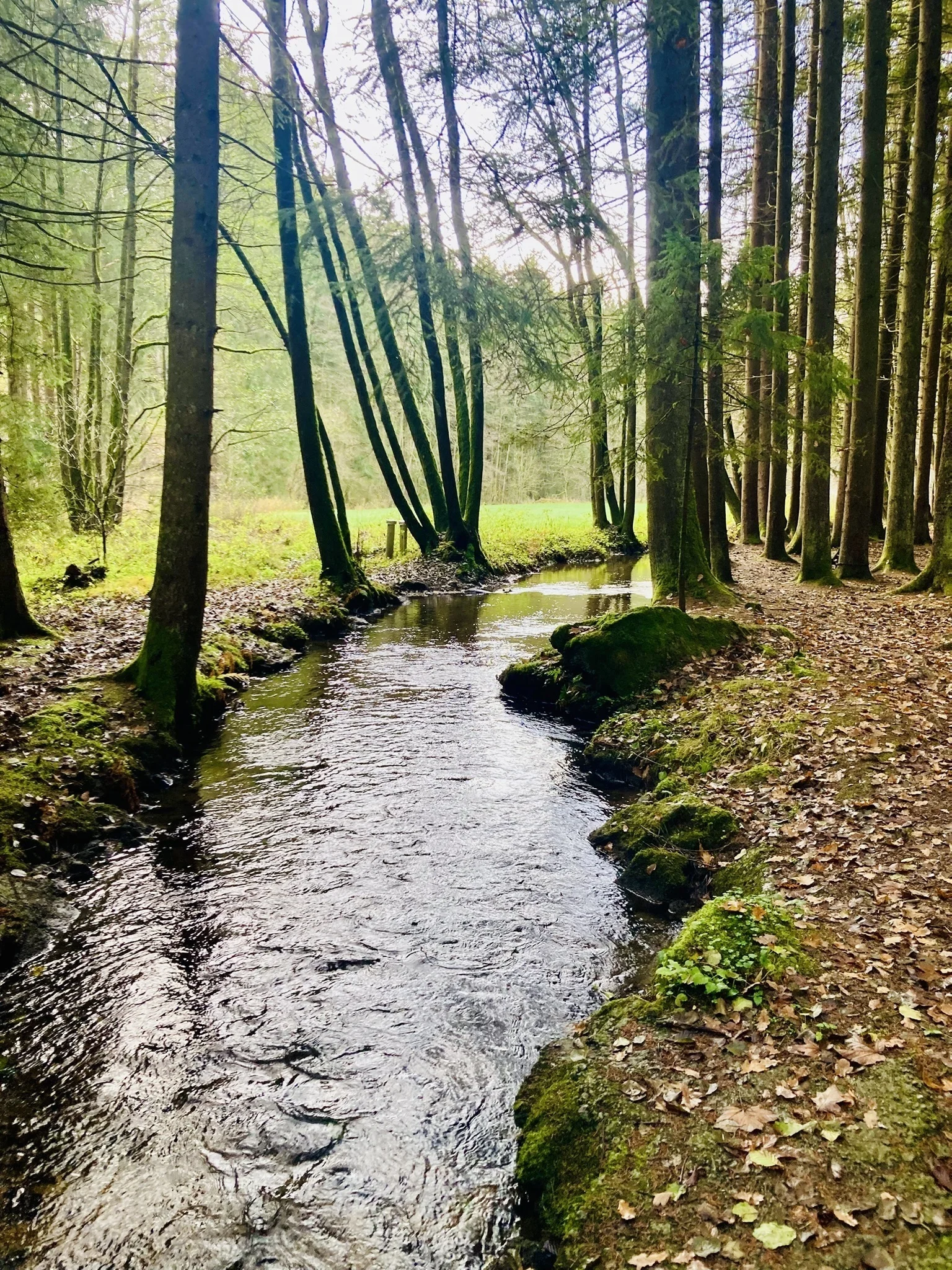 DAV wandert in Bayerisch Kanada | © Killesreiter Marlene