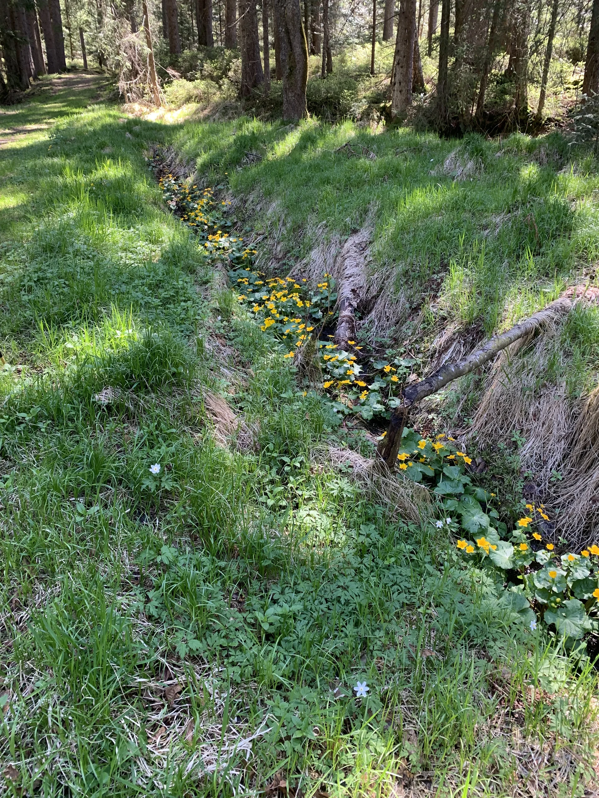 Klosterfilz | © Meier B rigitte