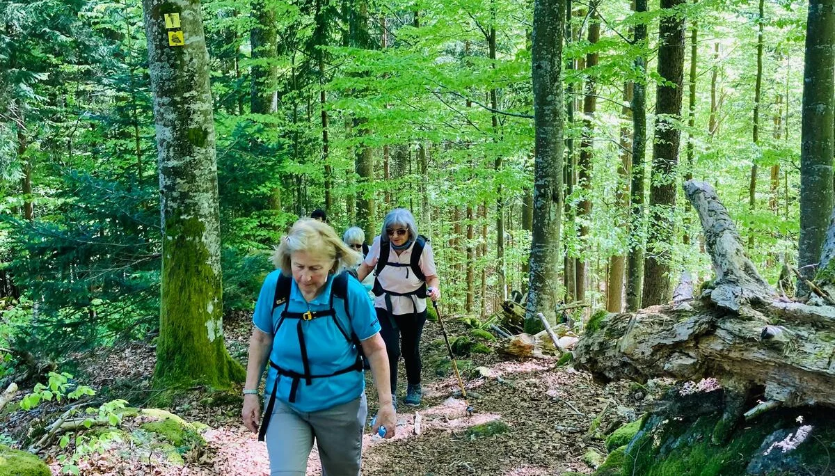 Klosterfilz | © Meier B rigitte