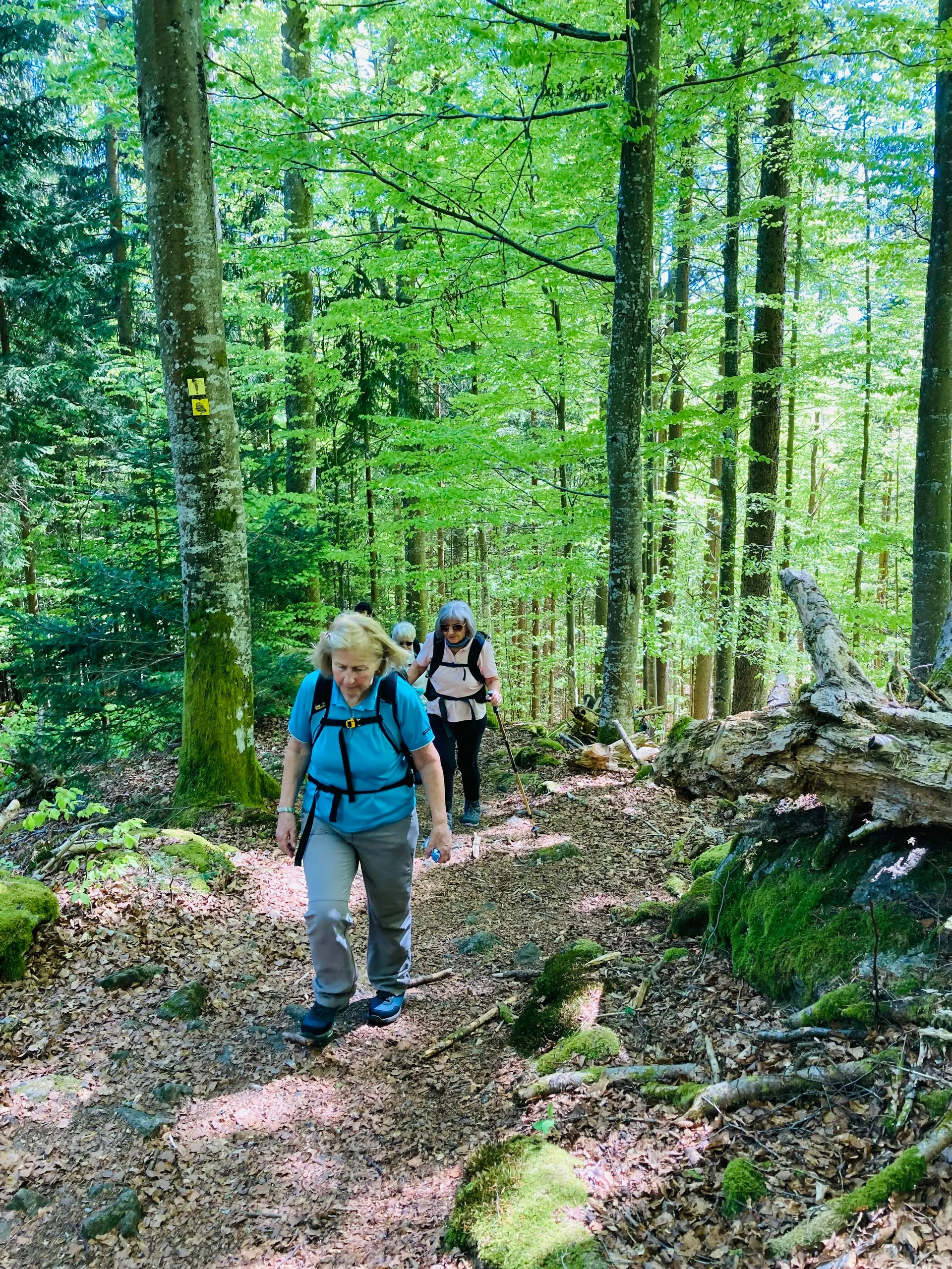 Klosterfilz | © Meier B rigitte