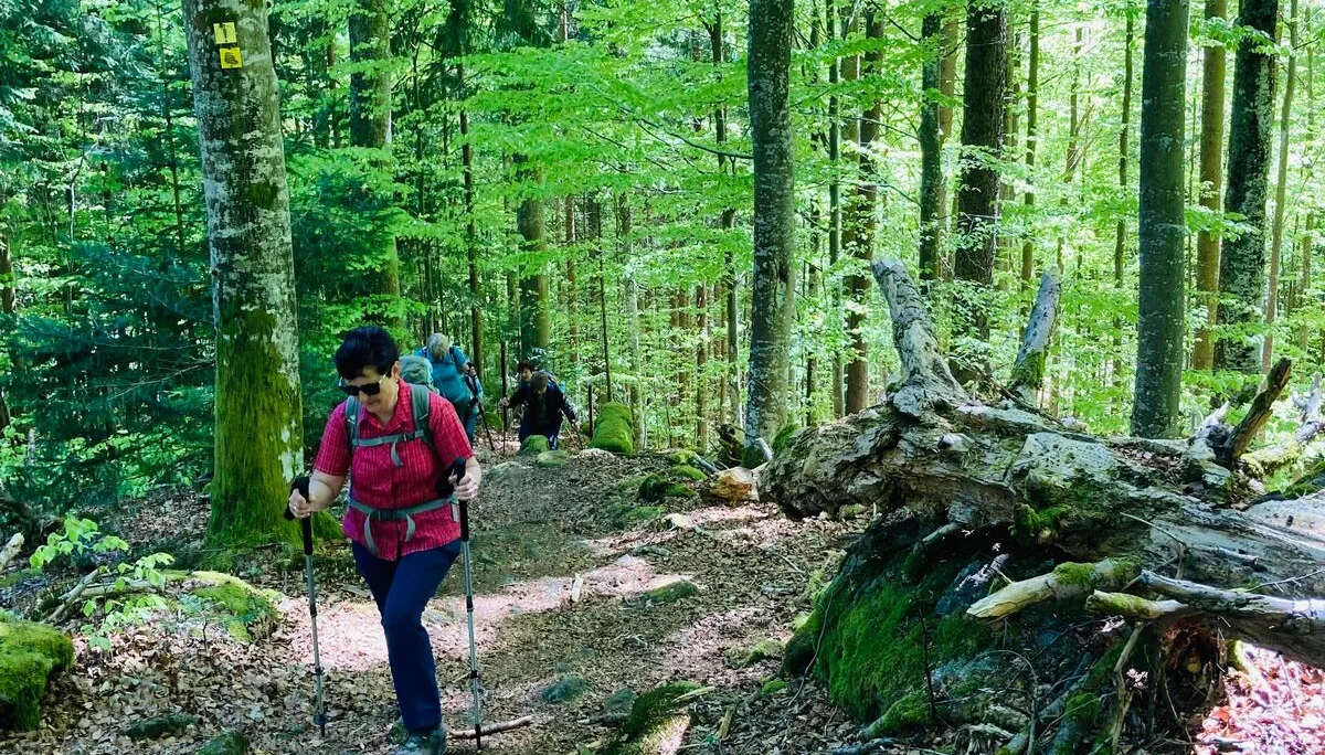 Klosterfilz | © Meier B rigitte