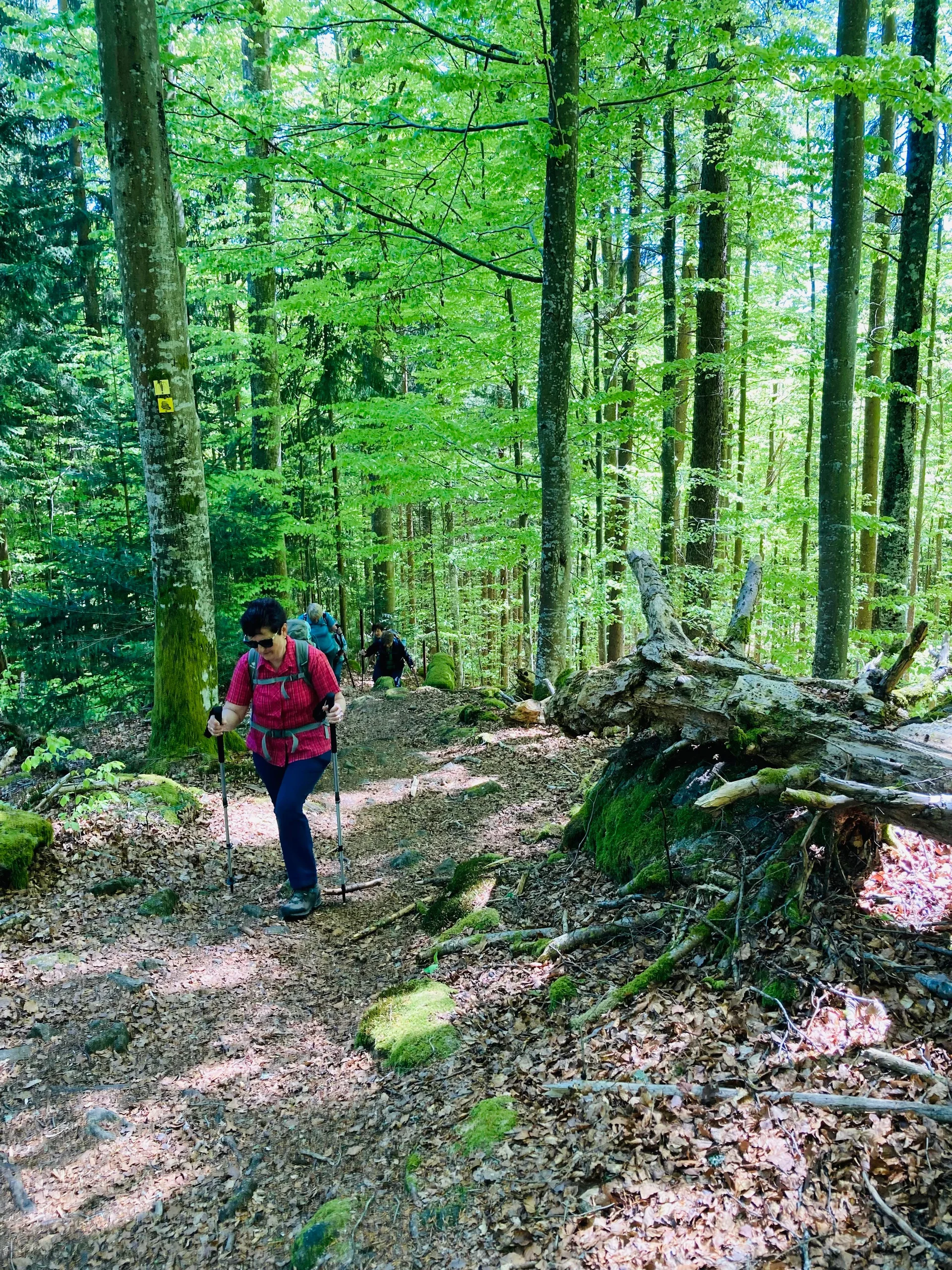 Klosterfilz | © Meier B rigitte