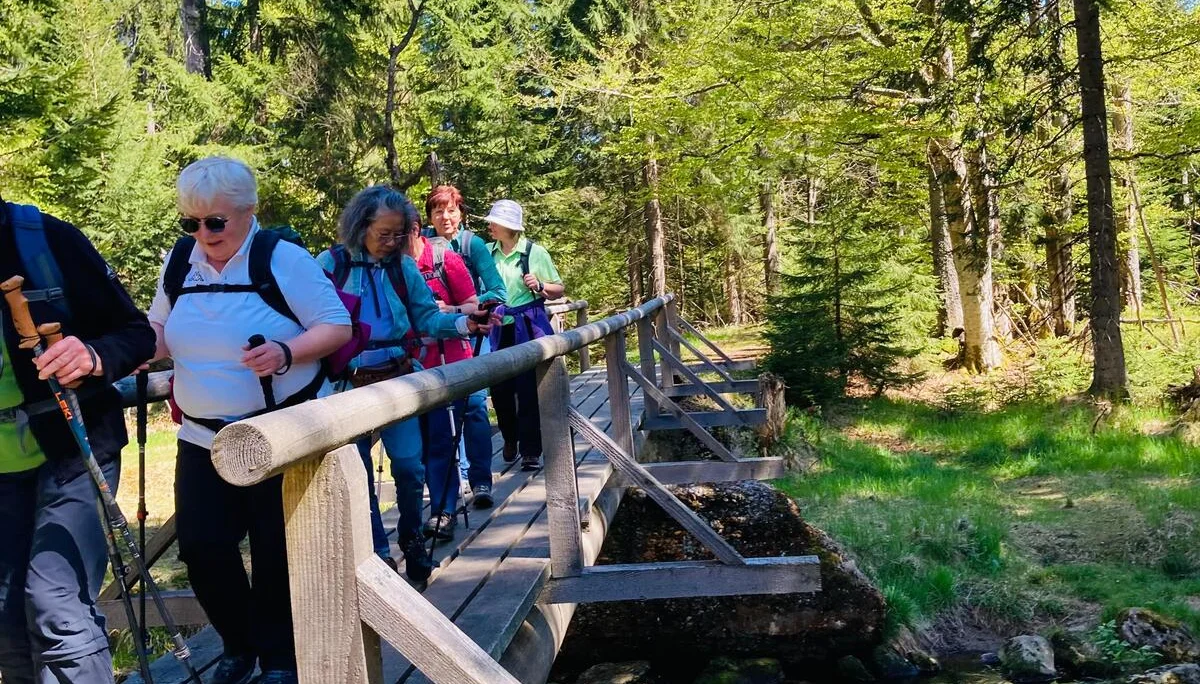 Klosterfilz | © Meier B rigitte