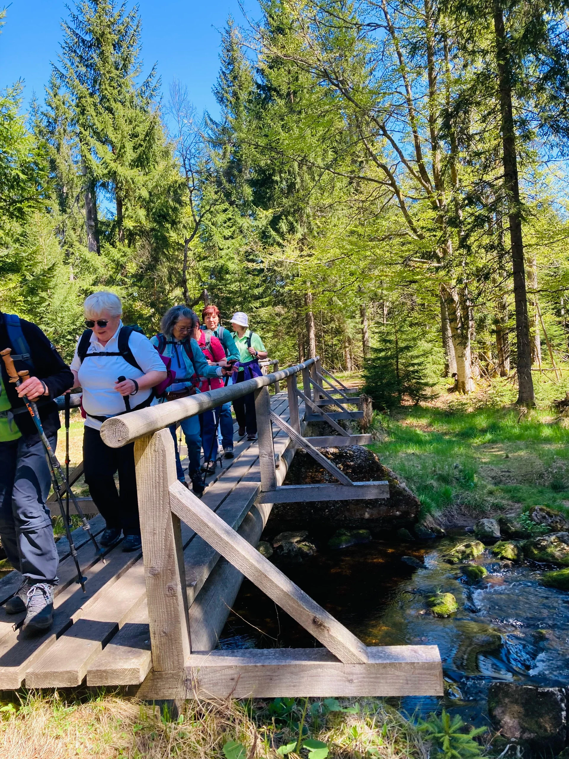 Klosterfilz | © Meier B rigitte