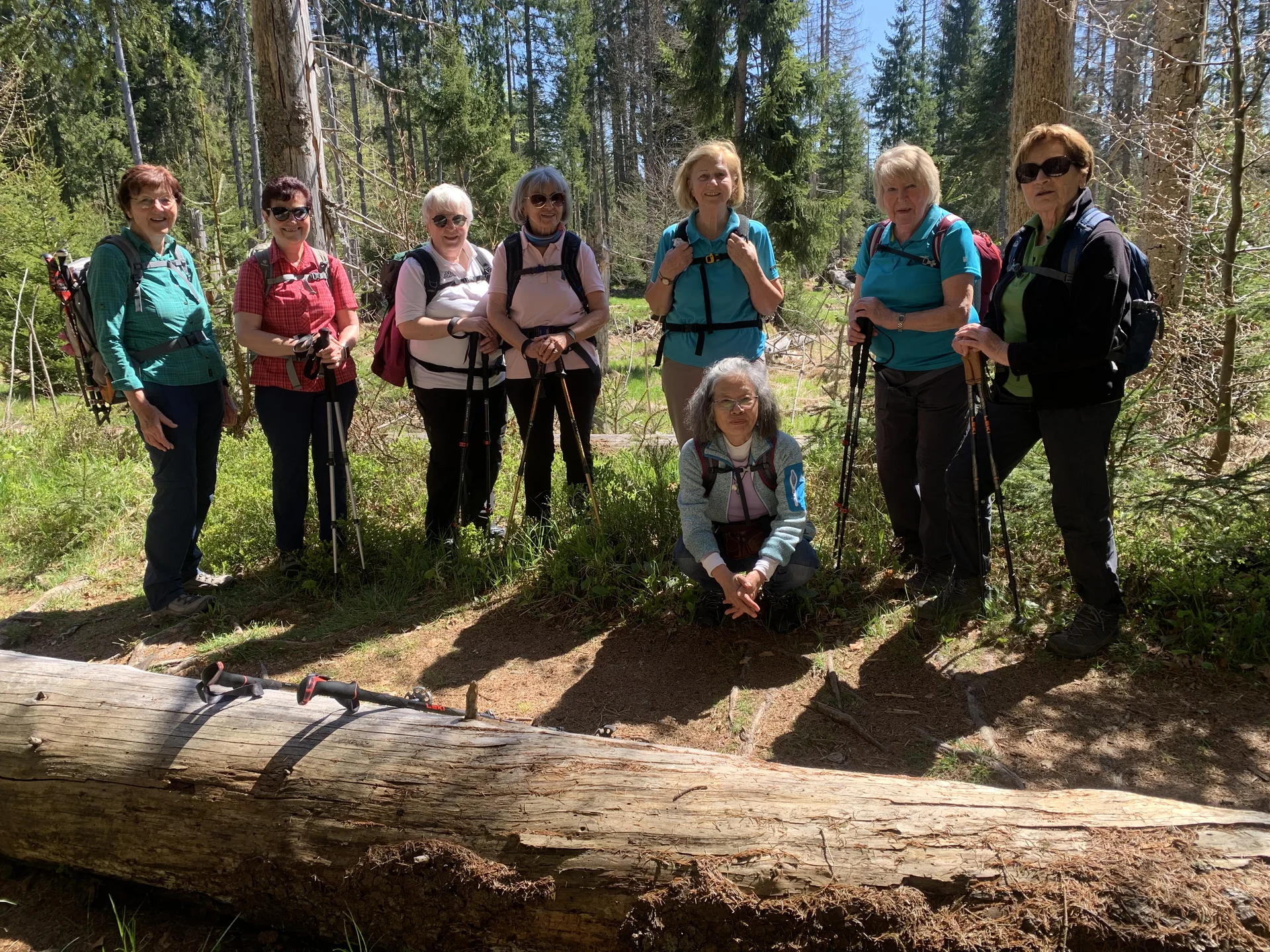 Klosterfilz | © Meier B rigitte