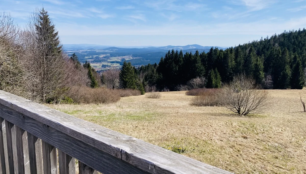 Frühjahrswanderung auf die Oberbreitenau | © Killesreiter Marlene