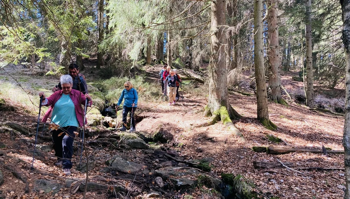 Frühjahrswanderung auf die Oberbreitenau | © Killesreiter Marlene