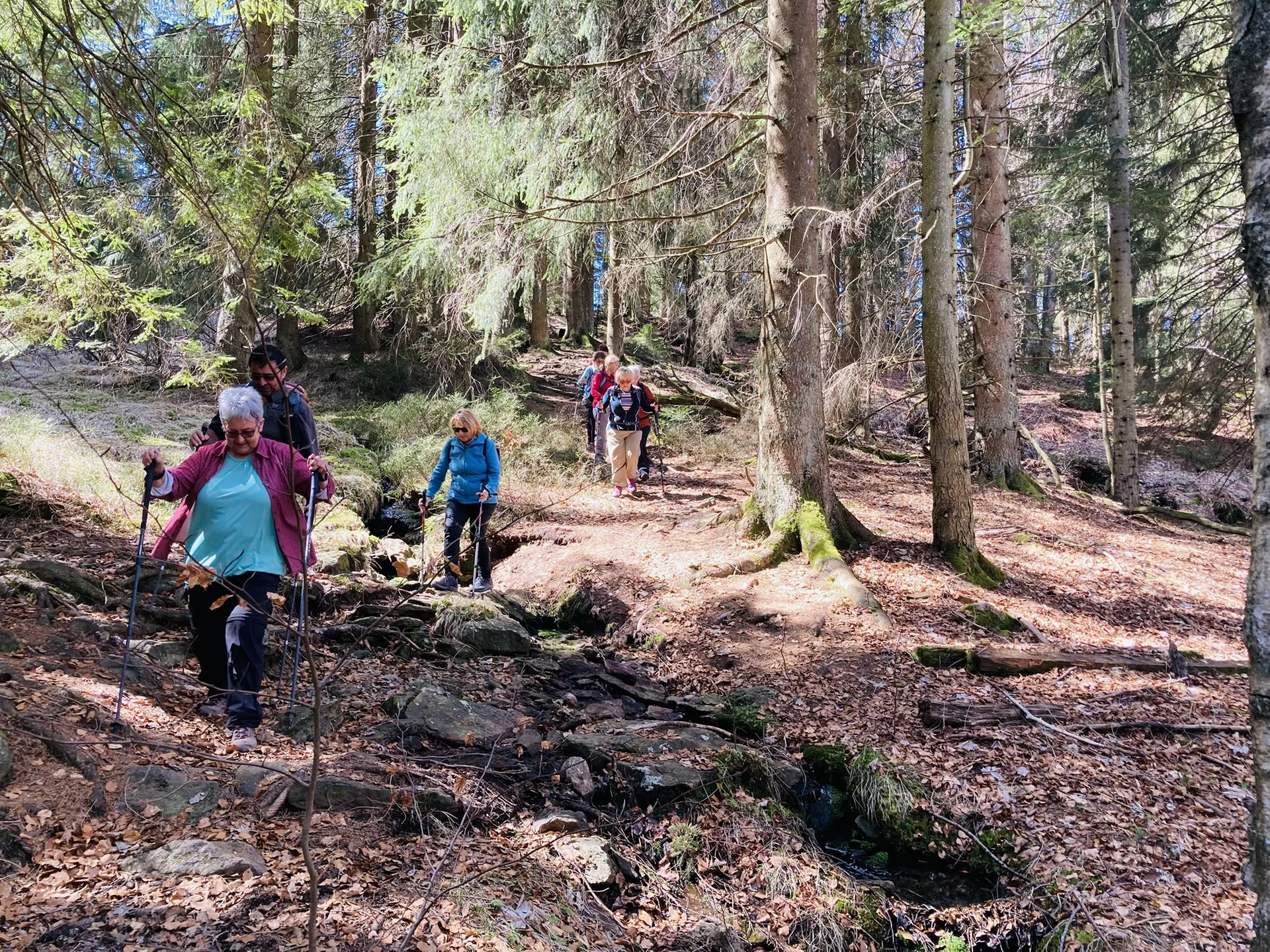 Frühjahrswanderung auf die Oberbreitenau | © Killesreiter Marlene