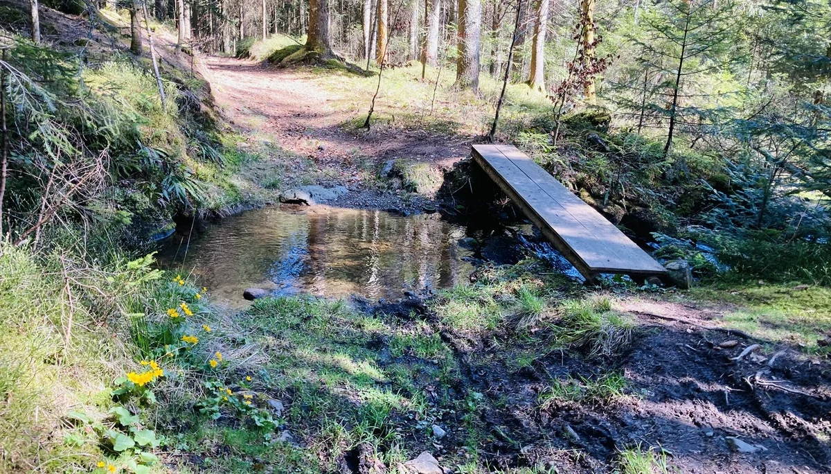 Frühjahrswanderung auf die Oberbreitenau | © Killesreiter Marlene
