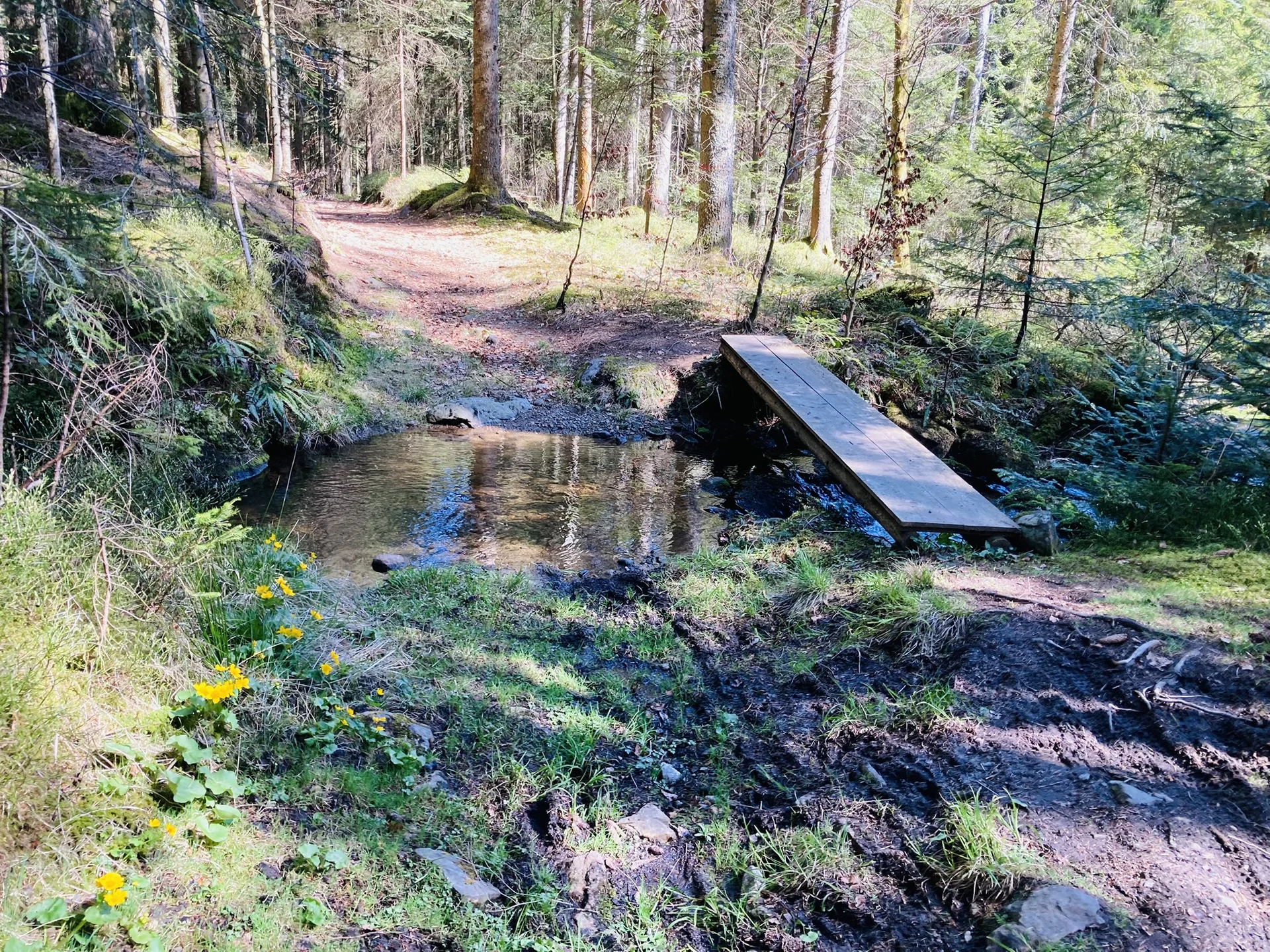 Frühjahrswanderung auf die Oberbreitenau | © Killesreiter Marlene