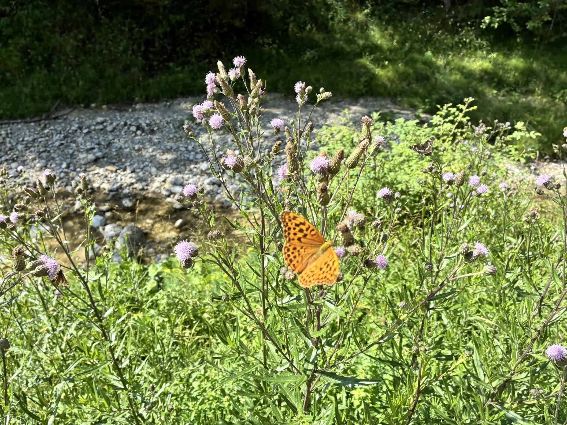Gemütliche Rundwanderung auf den Farrenpoint | © Killesreiter Marlene