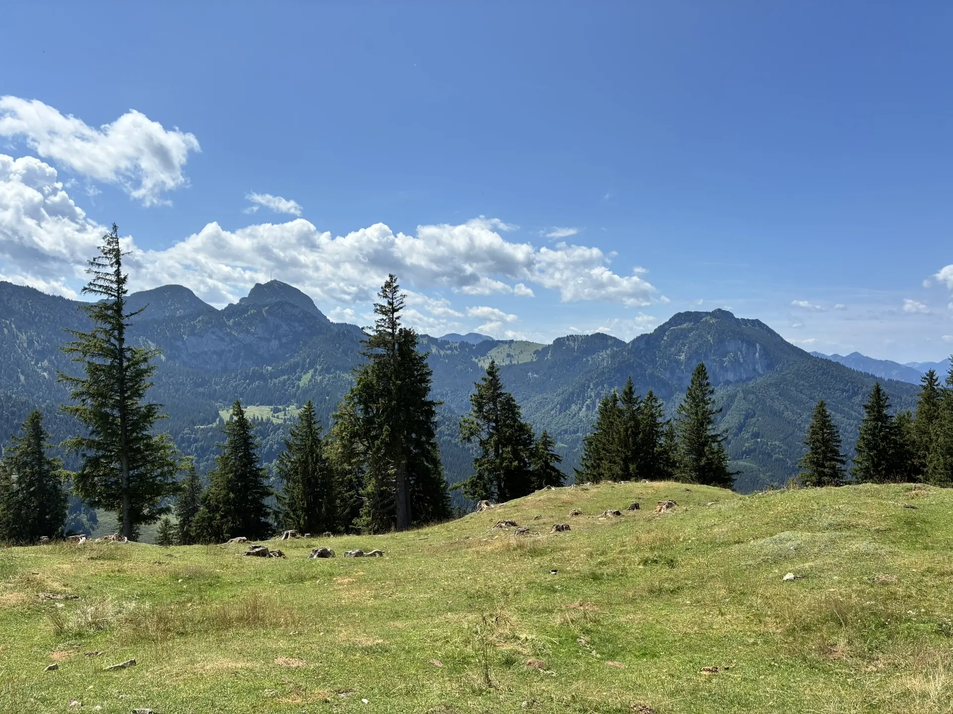 Gemütliche Rundwanderung auf den Farrenpoint | © Killesreiter Marlene
