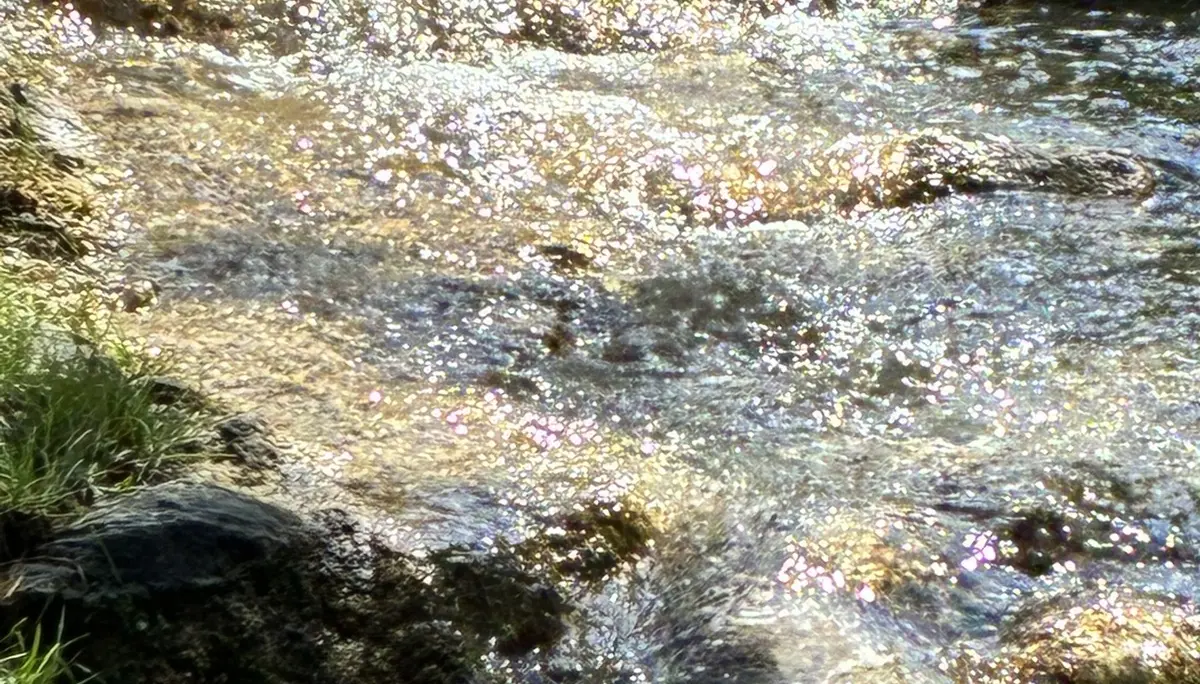 Gemütliche Rundwanderung auf den Farrenpoint | © Killesreiter Marlene