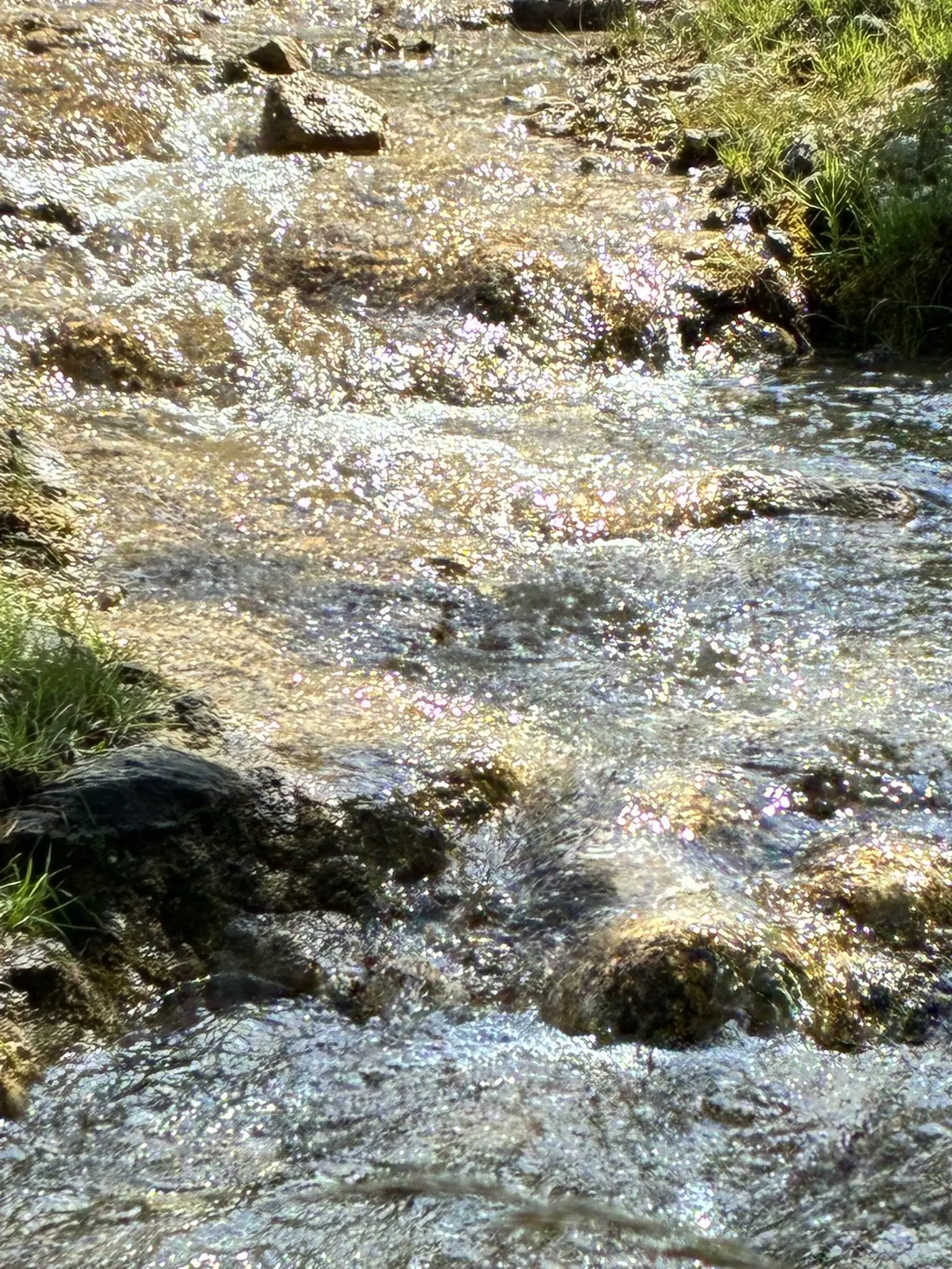 Gemütliche Rundwanderung auf den Farrenpoint | © Killesreiter Marlene