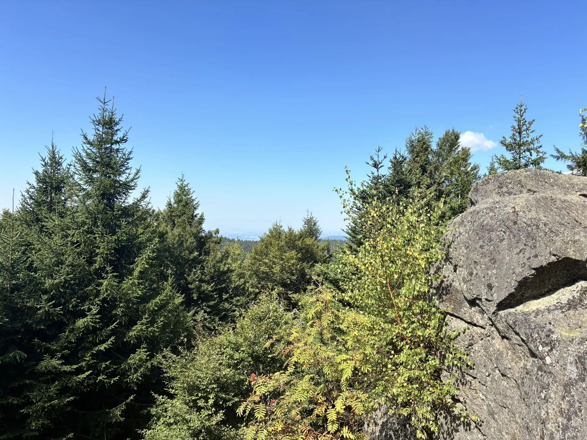 Wanderung zum Landshuter Haus | © Herold Kristine