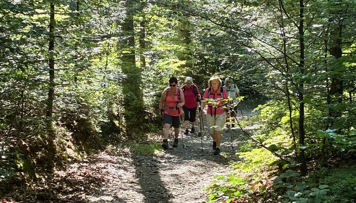 Wanderung zum Landshuter Haus | © Herold Kristine