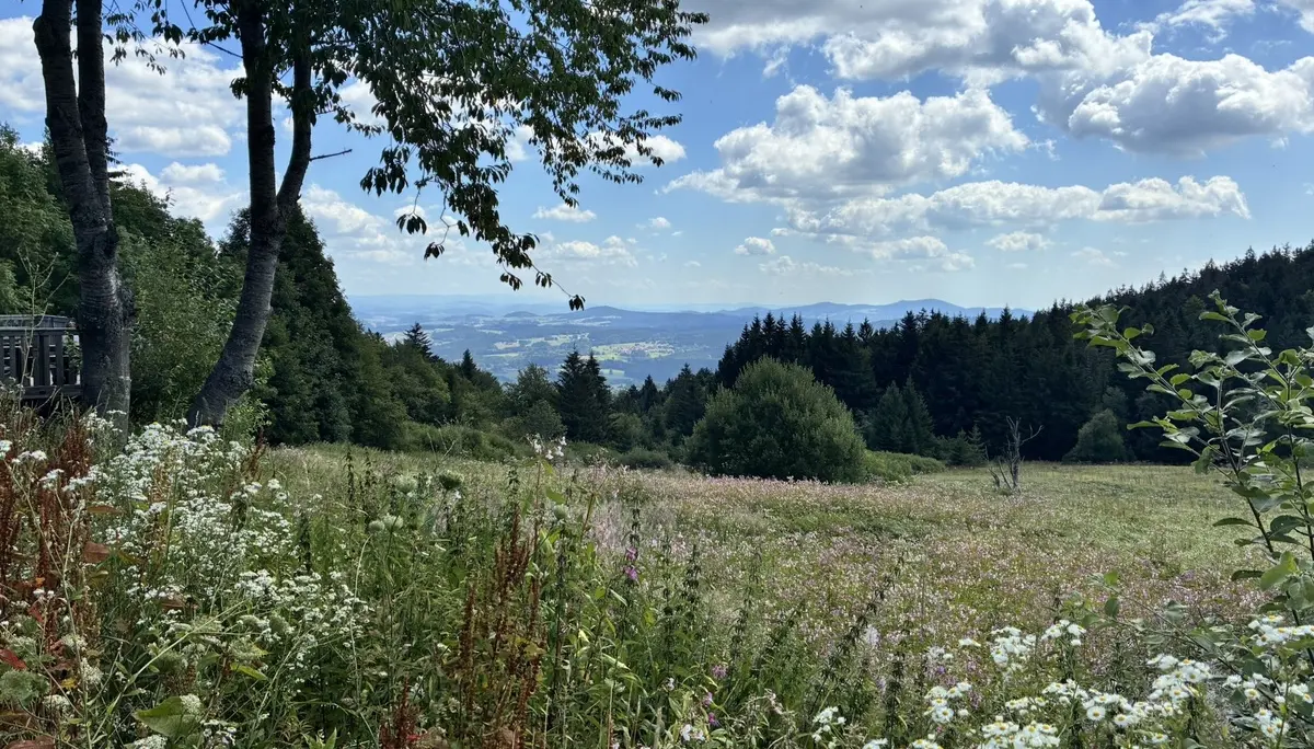 Wanderung zum Landshuter Haus | © Herold Kristine